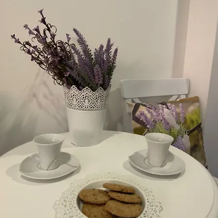 Apartman Lana & Lola Banja Luka