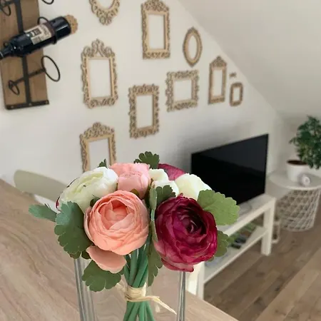 Apartman Lana & Lola * Banja Luka